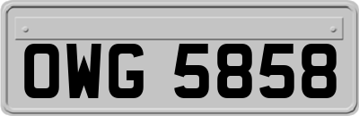 OWG5858