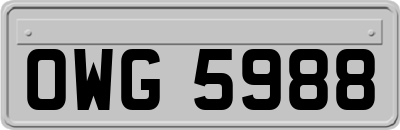 OWG5988