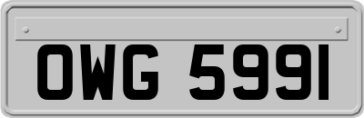 OWG5991