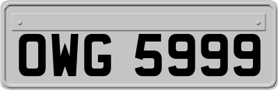 OWG5999