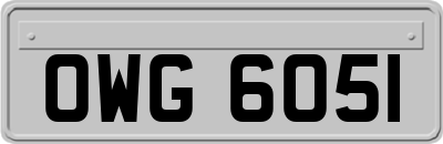 OWG6051