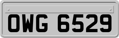 OWG6529