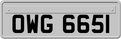 OWG6651