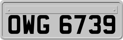 OWG6739