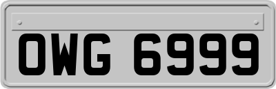 OWG6999