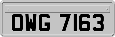 OWG7163