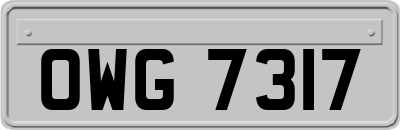 OWG7317