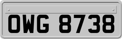 OWG8738