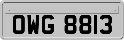 OWG8813