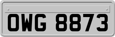 OWG8873