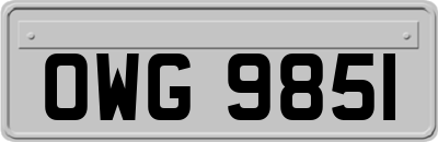 OWG9851