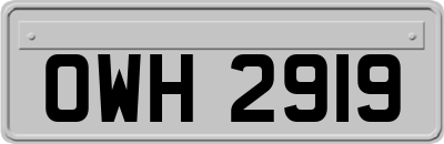 OWH2919
