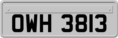 OWH3813