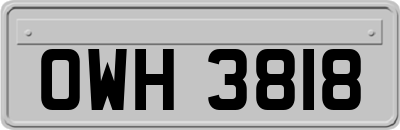 OWH3818