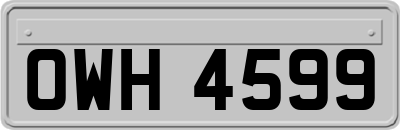 OWH4599