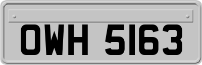 OWH5163