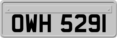 OWH5291