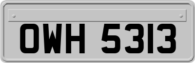 OWH5313
