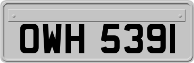 OWH5391