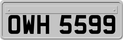 OWH5599