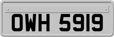OWH5919