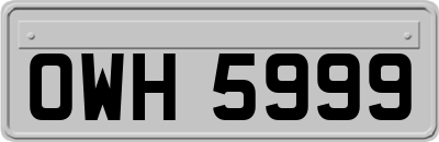OWH5999