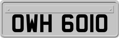 OWH6010