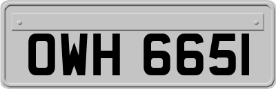 OWH6651