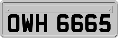 OWH6665