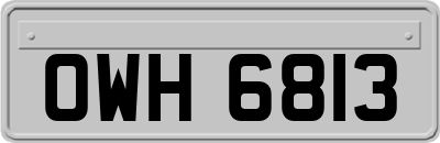 OWH6813