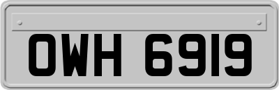 OWH6919