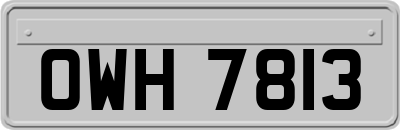OWH7813