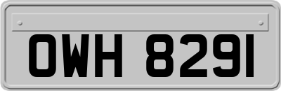 OWH8291