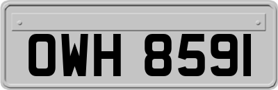 OWH8591
