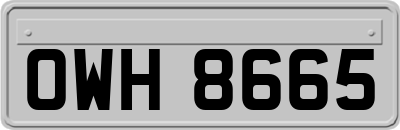 OWH8665