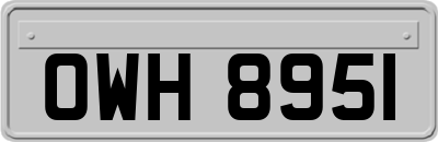 OWH8951
