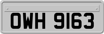 OWH9163