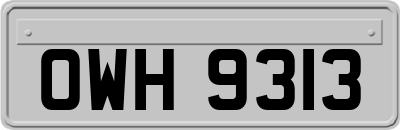 OWH9313