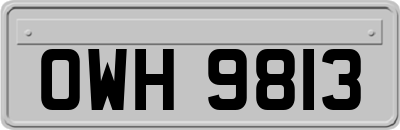 OWH9813