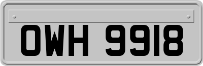OWH9918