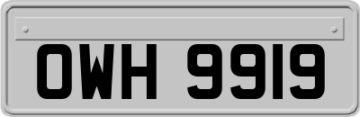 OWH9919