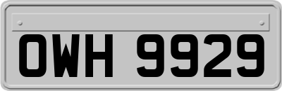 OWH9929