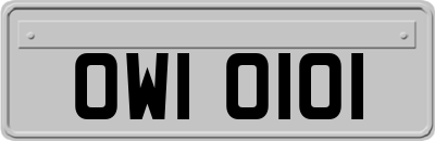 OWI0101