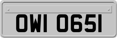 OWI0651