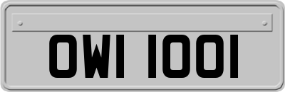 OWI1001