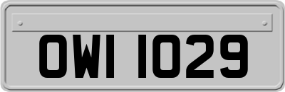 OWI1029