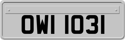 OWI1031