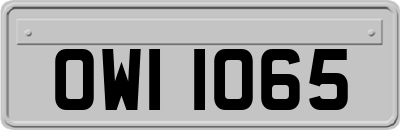 OWI1065