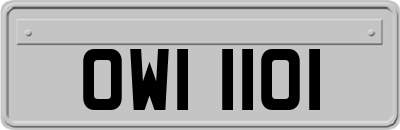 OWI1101