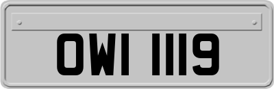 OWI1119